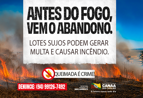 CAMPANHA QUEIMADAS