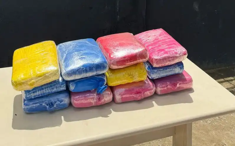 Passageiro de ônibus é preso com 14 quilos de maconha