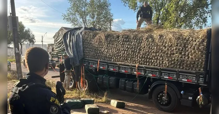 PRF apreende meia tonelada de cocaína em carga de abacaxi