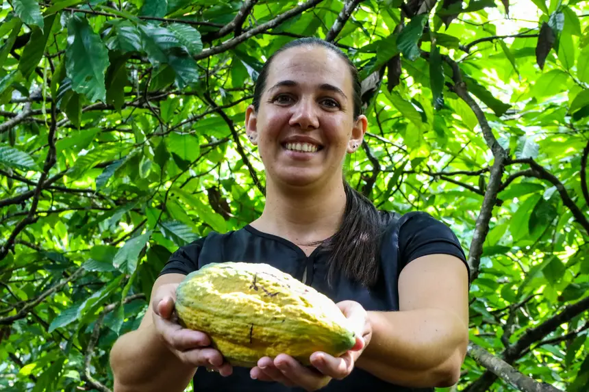 Pará tem a maior produtividade de cacau no mundo e celebra força da cadeia sustentável