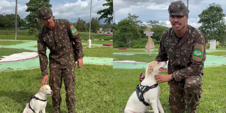 Sargento que salvou e adotou cadela atacada por sucuri afirma que animal está bem