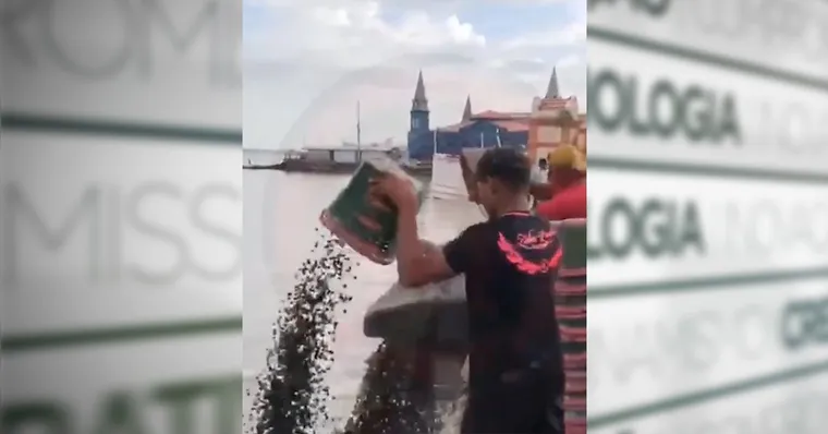 Durante o período que furto não foi comercializado, perdeu a qualidade. | (Reprodução)