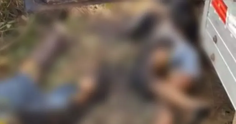 Avô e neta morrem após choque dentro de caminhão no Pará