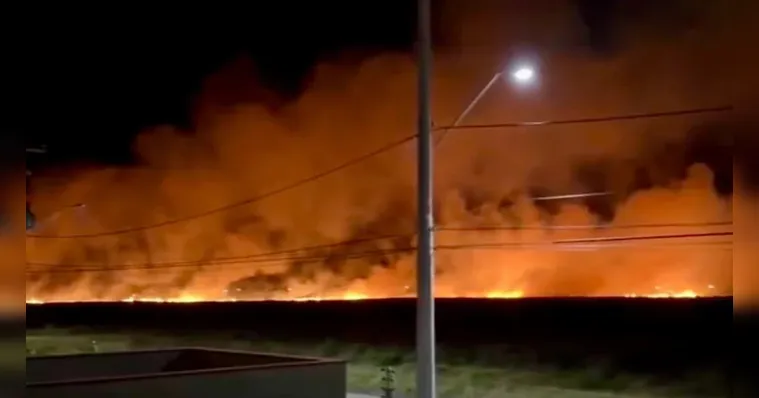 Incêndio de grandes proporções atinge vegetação em Xangri-Lá, RS; veja detalhes. | Reprodução/Redes Sociais