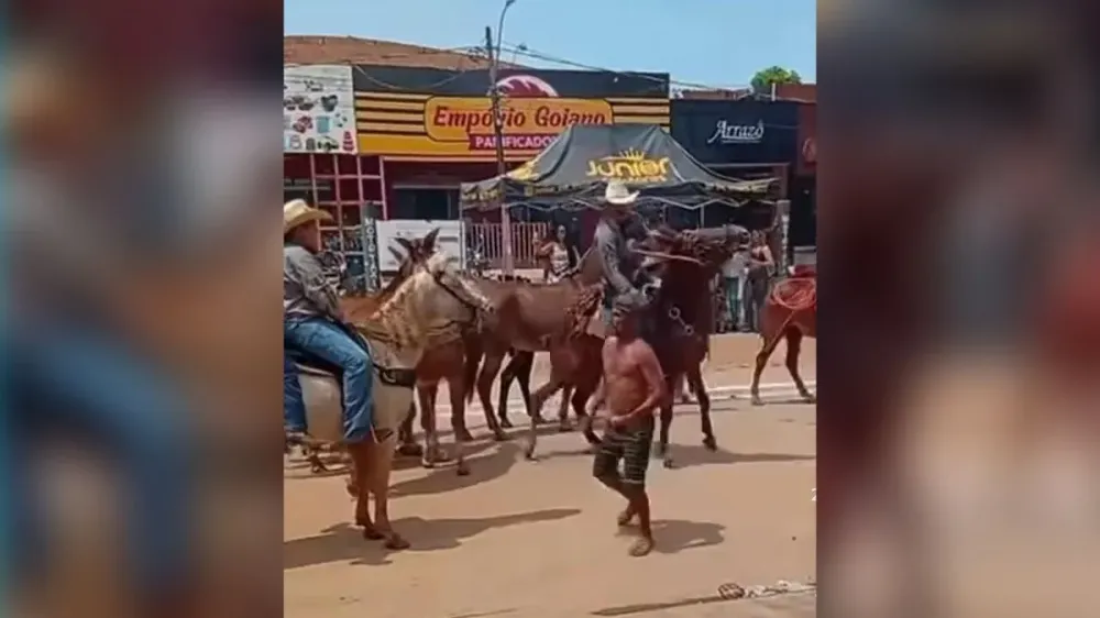 Imagens que viralizaram mostram o exato momento em que “Sombra” é atingido por chicotadas nas costas enquanto dançava na avenida principal. | Reprodução