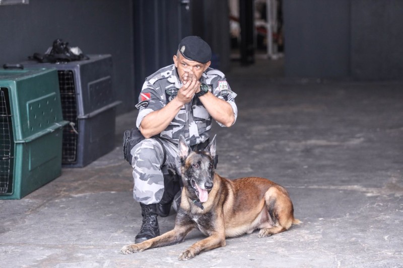 Batalhão de Ações com Cães da Polícia Militar do Pará é referência para o Brasil