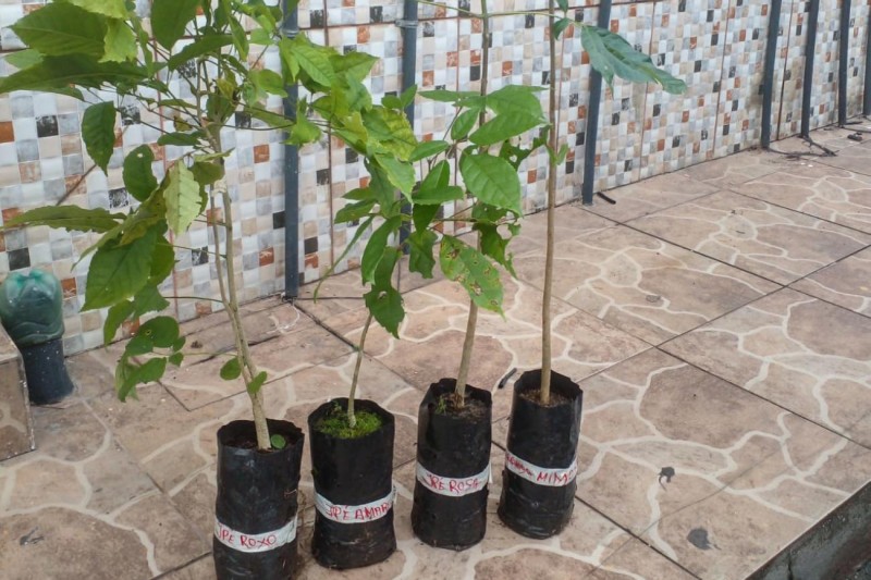 Hospital Jean Bitar participa de ação sustentável no entorno do Parque do Utinga