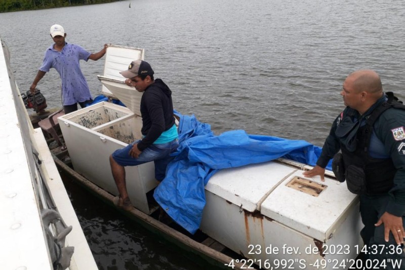 Termina período do defeso da pesca comercial no Mosaico Lago de Tucuruí