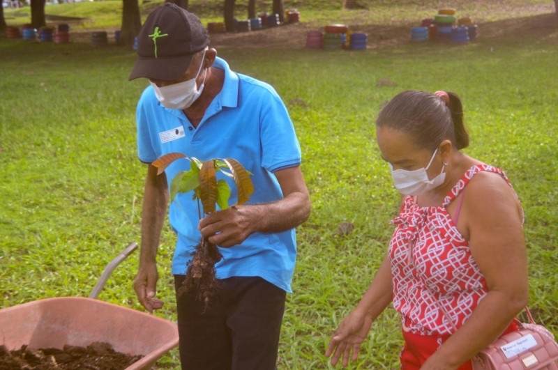 Paciente agradece assistência com plantio de mangueira no Regional do Baixo Amazonas 
