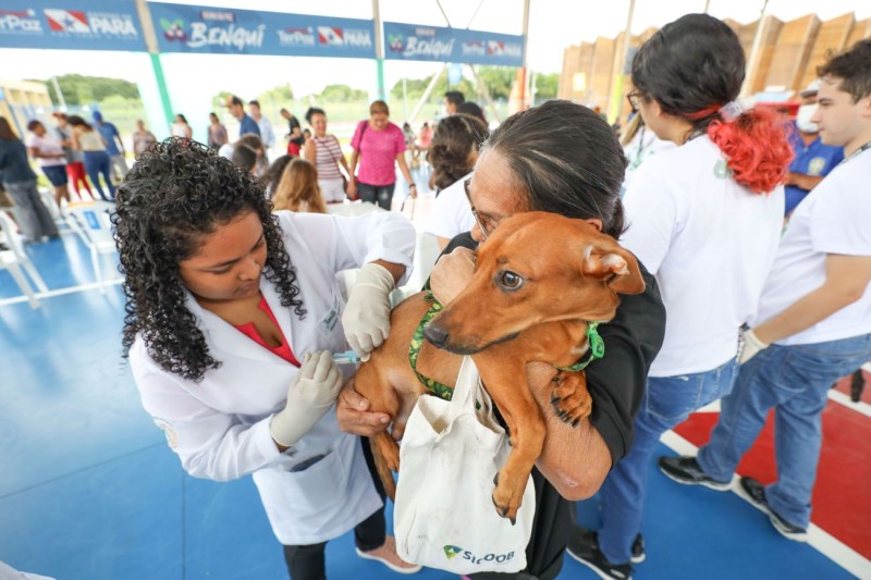 Programa “Pará Patas” leva ação de saúde animal no Bengui, em Belém