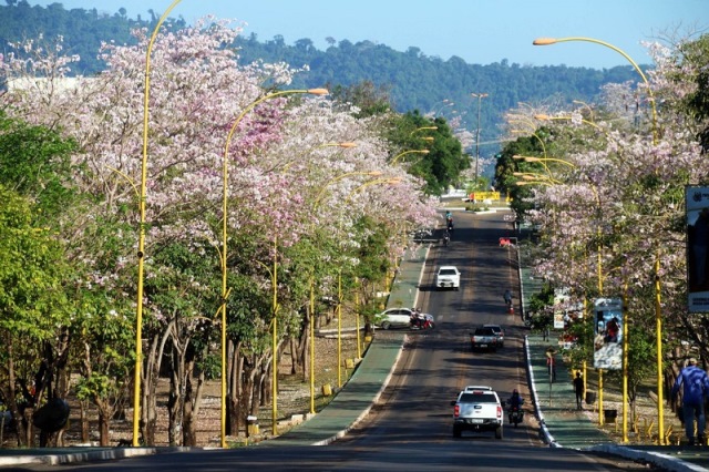 Em 2023, Parauapebas liderou denúncias de violência contra mulher no sudeste do Pará