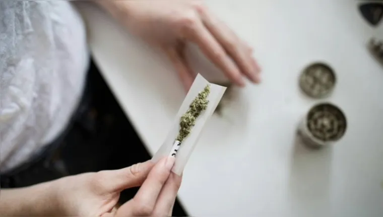 STF define que 40g maconha distingue usuário de traficante