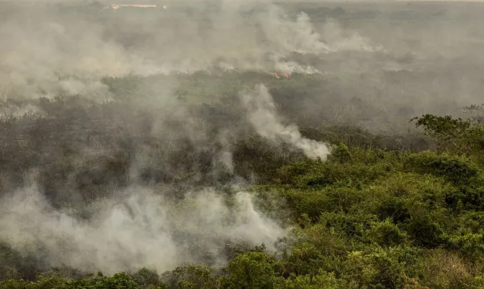 Força Nacional reforça equipe de combate a incêndios no Pantanal