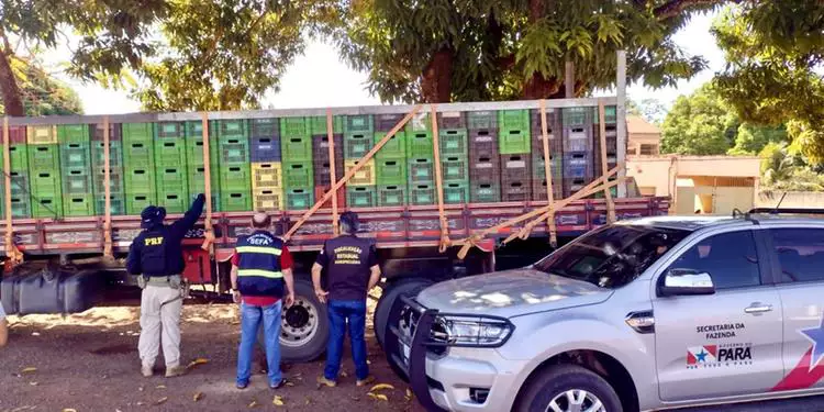 Carga de 11 toneladas de açaí in natura é apreendida pela Sefa em Dom Eliseu